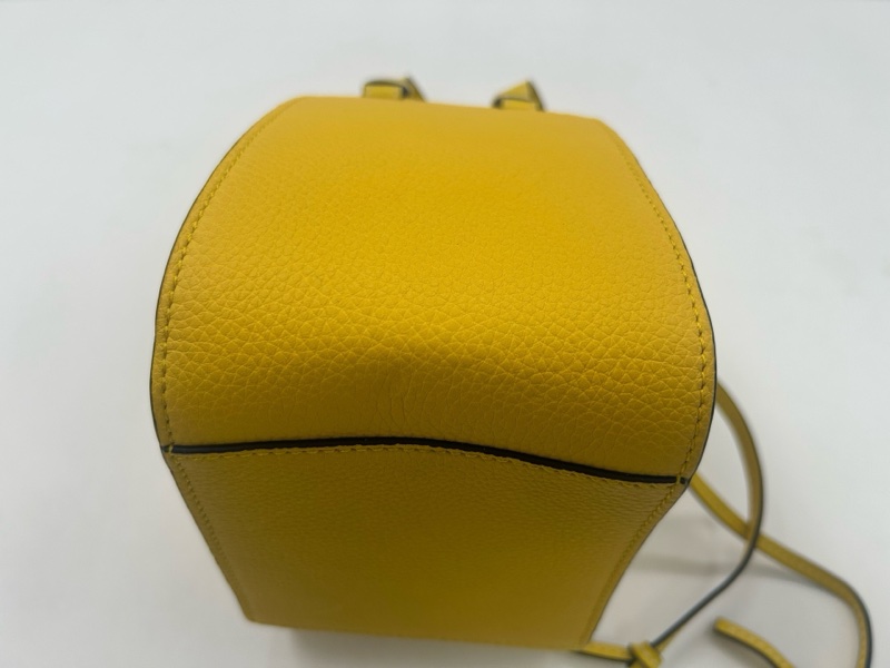 LOEWE羅意威  hammock 黃色吊床包 附件：肩帶 塵袋-4
