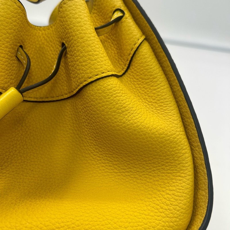 LOEWE羅意威  hammock 黃色吊床包 附件：肩帶 塵袋-6