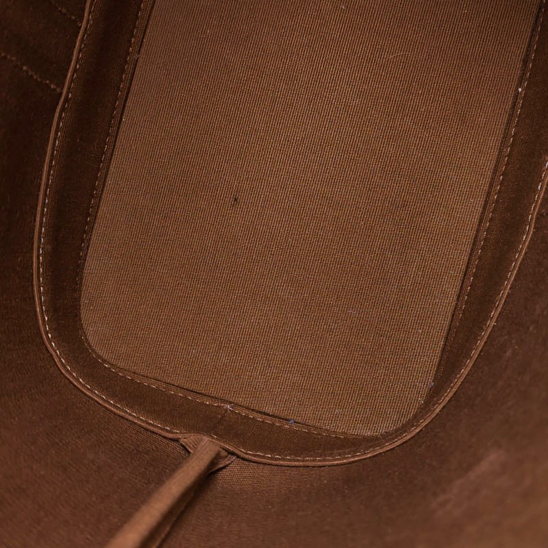 Celine Triomphe Canvas標誌印花牛皮標誌印花斜背包單肩包-8