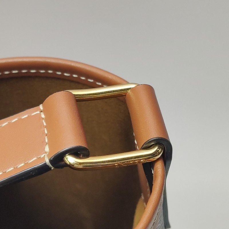 Celine Triomphe Canvas標誌印花牛皮標誌印花斜背包單肩包-9