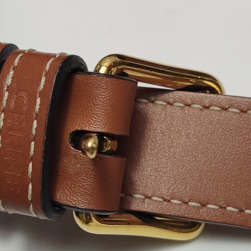 Celine Triomphe Canvas標誌印花牛皮標誌印花斜背包單肩包-10