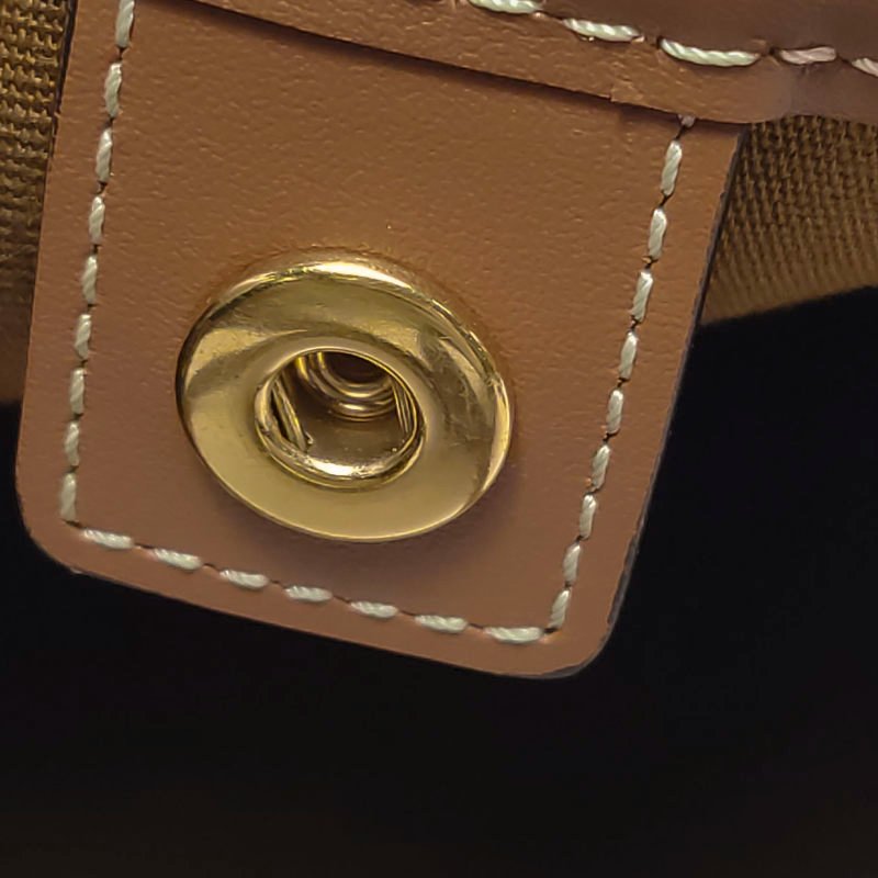 Celine Triomphe Canvas標誌印花牛皮標誌印花斜背包單肩包-11