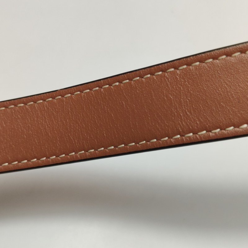 Celine Triomphe Canvas標誌印花牛皮標誌印花斜背包單肩包-13