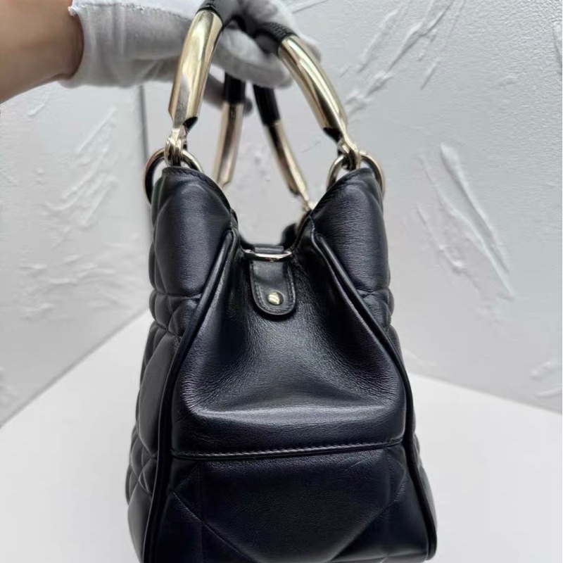 Dior 手柄D-joy 黛妃包 9新配件塵袋-1