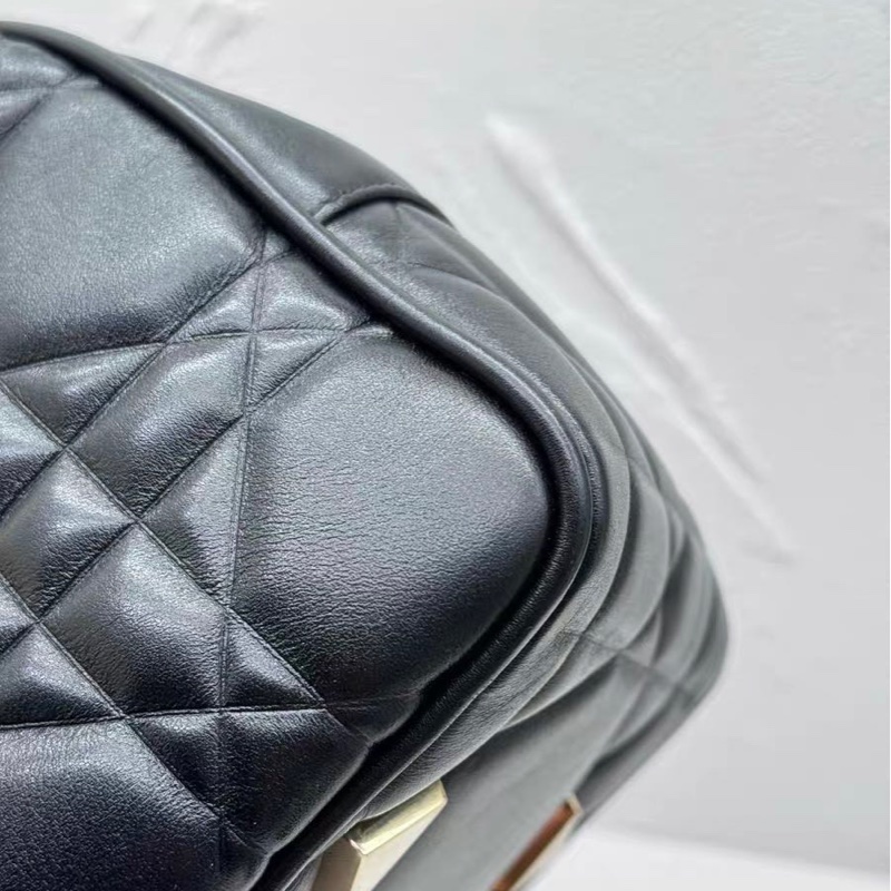 Dior 手柄D-joy 黛妃包 9新配件塵袋-4