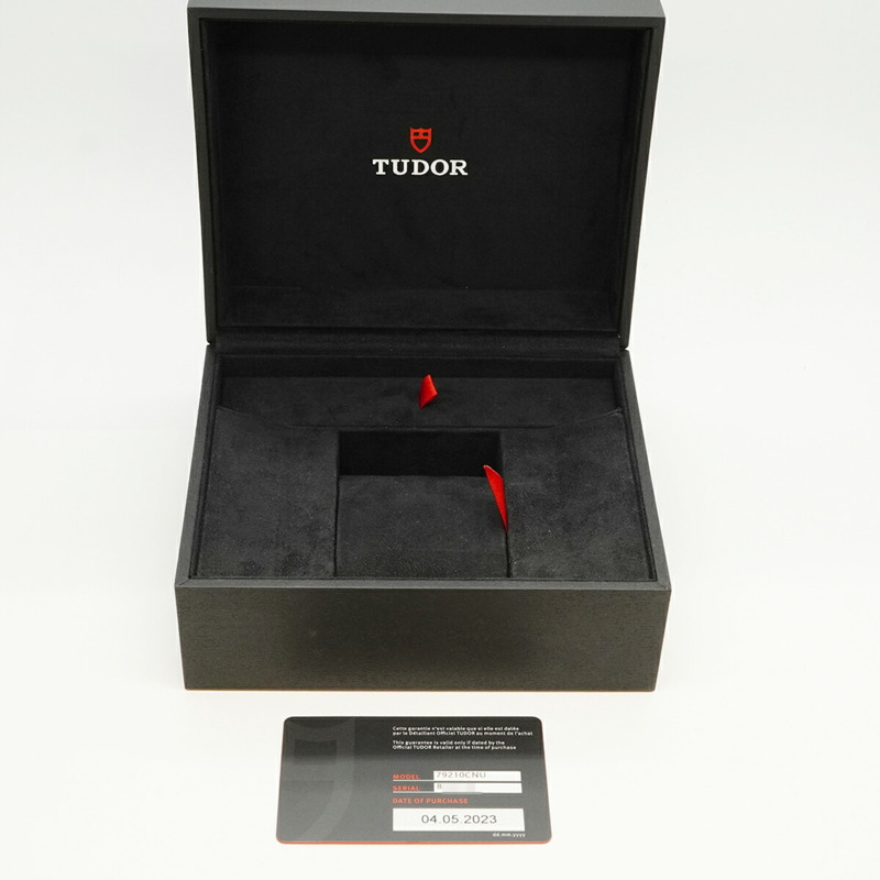 帝舵碧灣系列 79210CNU 錶盤男士腕錶-7