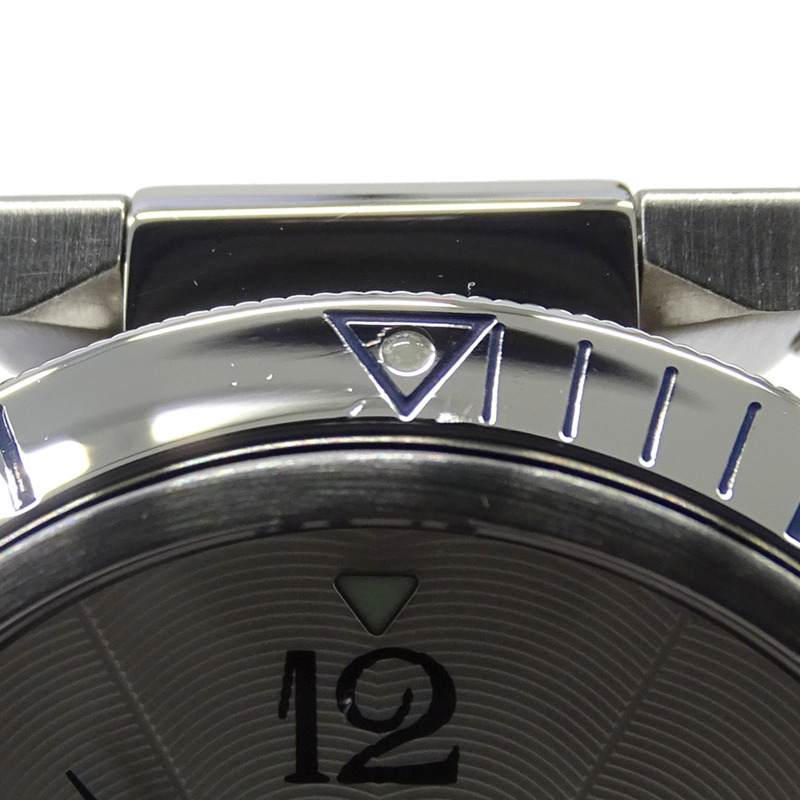 卡地亞 Pasha Grid Date 自動男士腕錶,不鏽鋼 (SS) W31040H3,銀色,透底錶背,拋光。-13