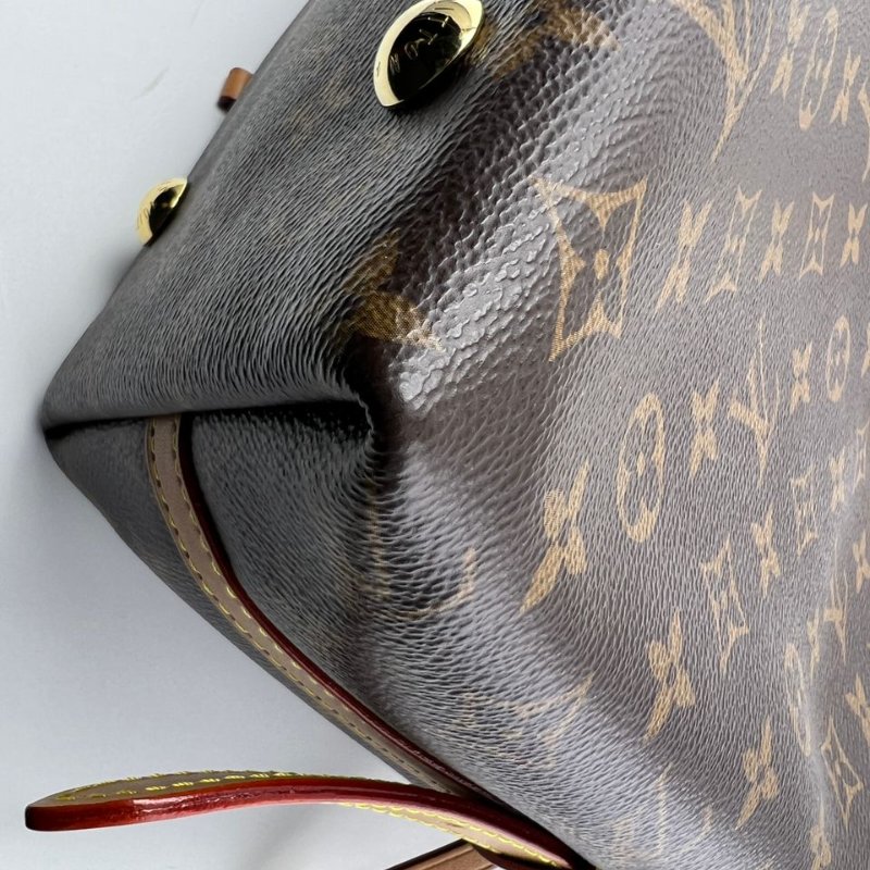 Louis Vuitton Carryall 老花托特包-11