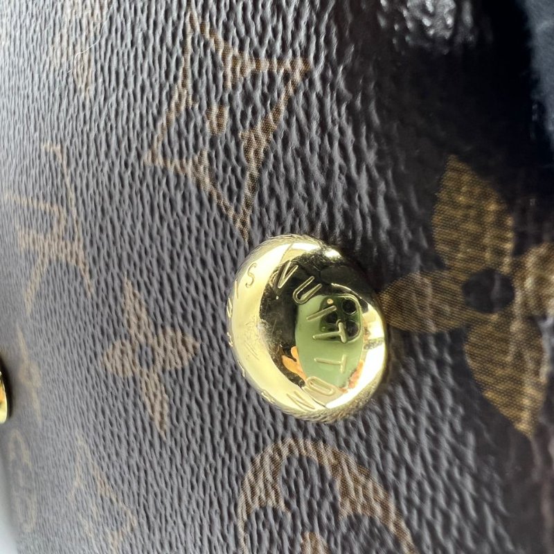 Louis Vuitton Carryall 老花托特包-14