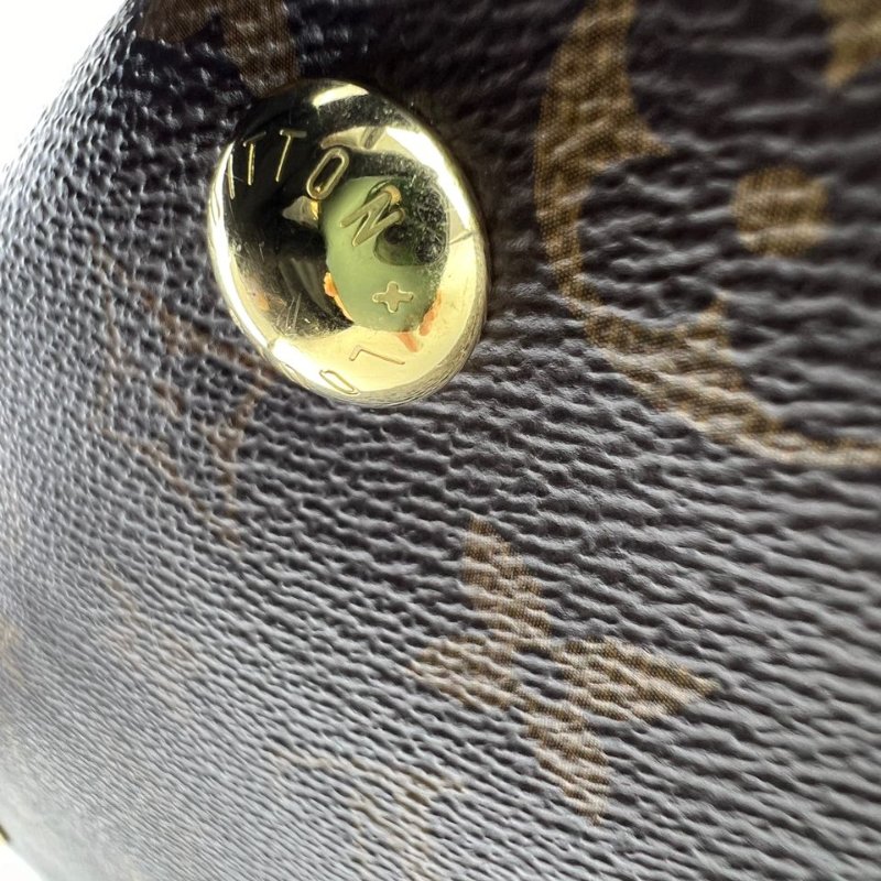 Louis Vuitton Carryall 老花托特包-17