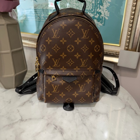 LV 原花Palm Springs PM金釦手提後背包M44871