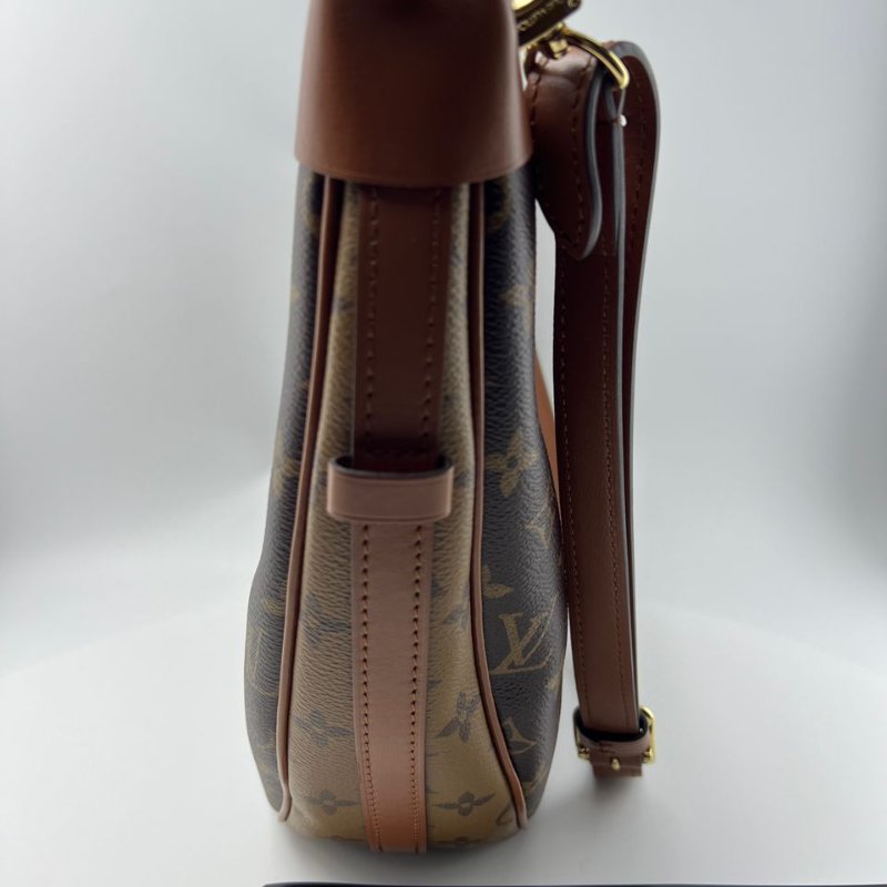 Louis Vuitton Loop Hobo 老花月亮包-2