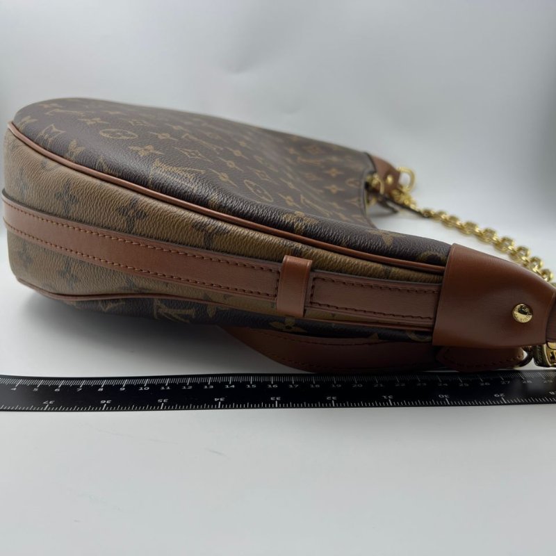 Louis Vuitton Loop Hobo 老花月亮包-3