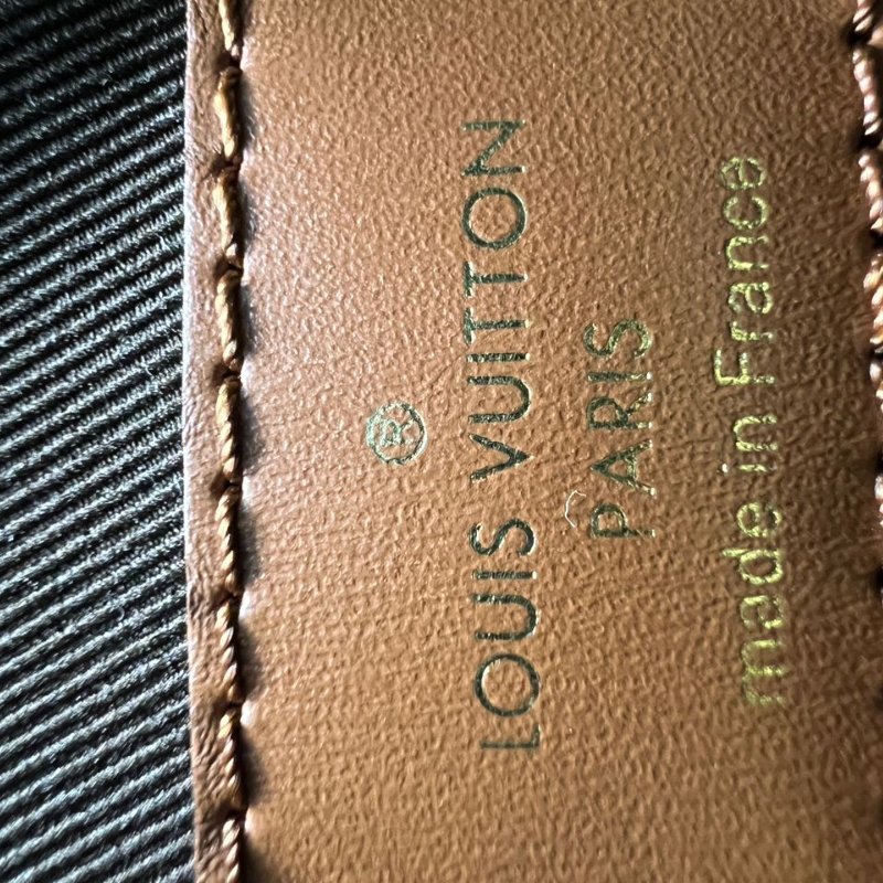 Louis Vuitton Loop Hobo 老花月亮包-5