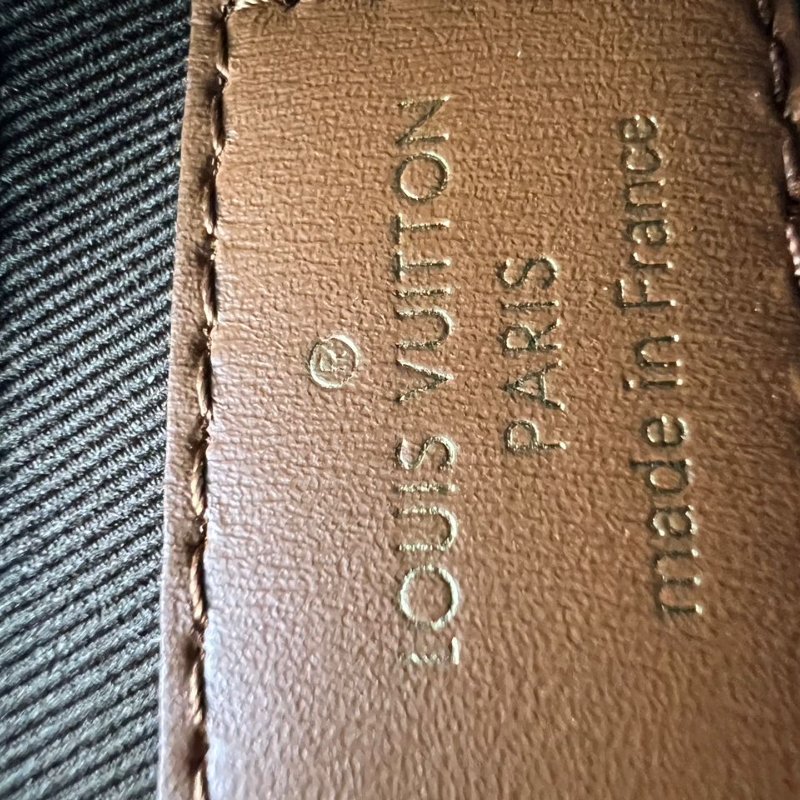 Louis Vuitton Loop Hobo 老花月亮包-8