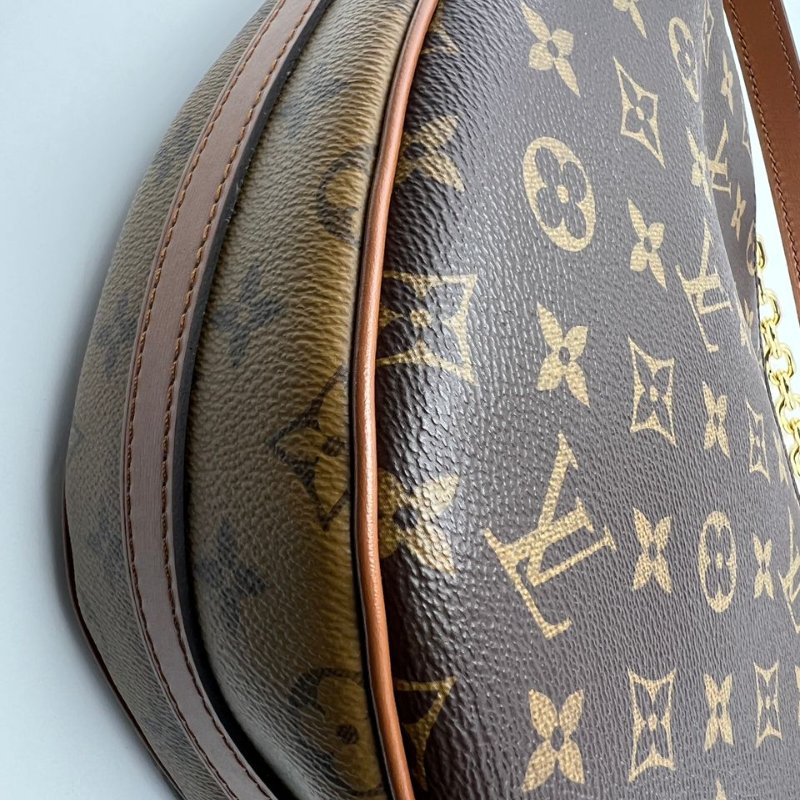 Louis Vuitton Loop Hobo 老花月亮包-12