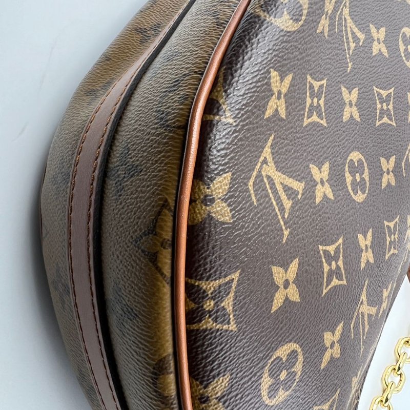 Louis Vuitton Loop Hobo 老花月亮包-13