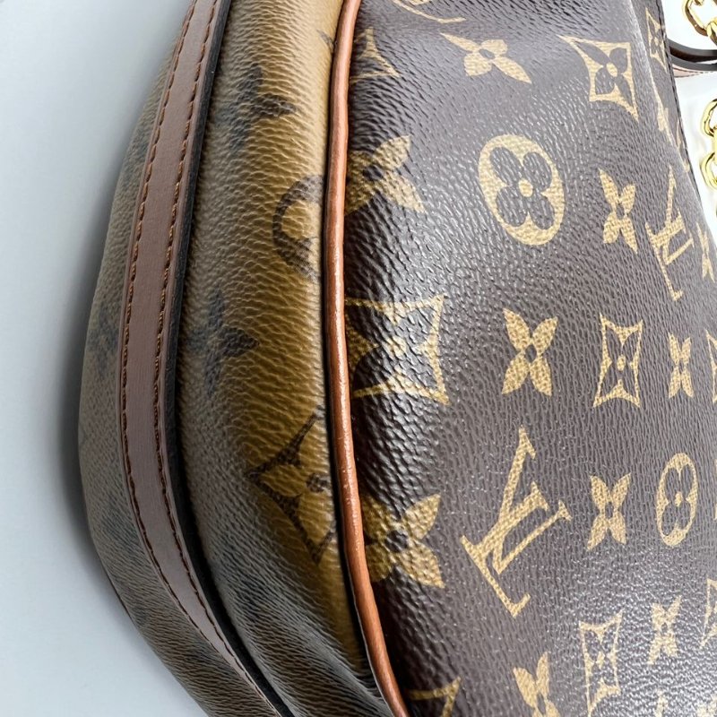 Louis Vuitton Loop Hobo 老花月亮包-14