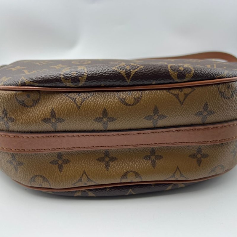 Louis Vuitton Loop Hobo 老花月亮包-15