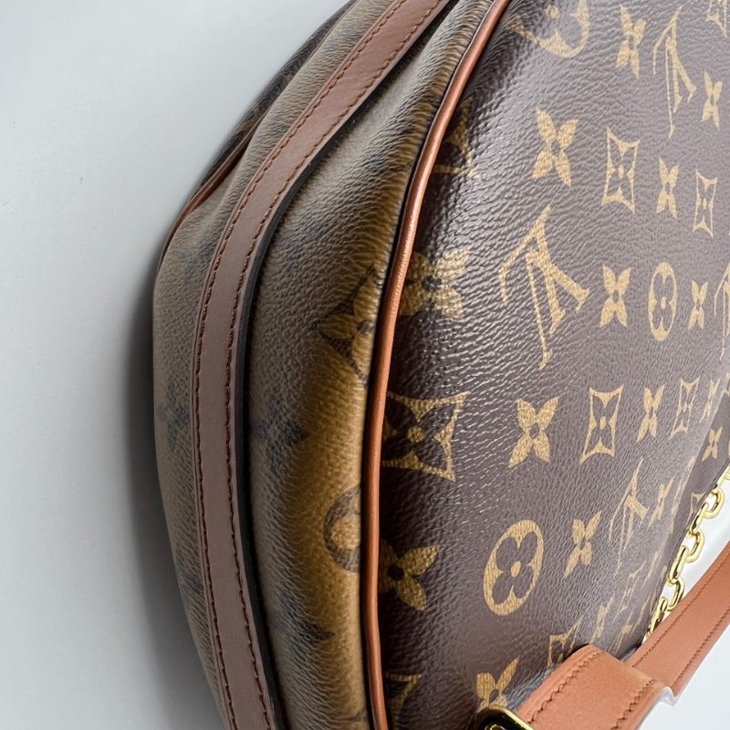 Louis Vuitton Loop Hobo 老花月亮包-16