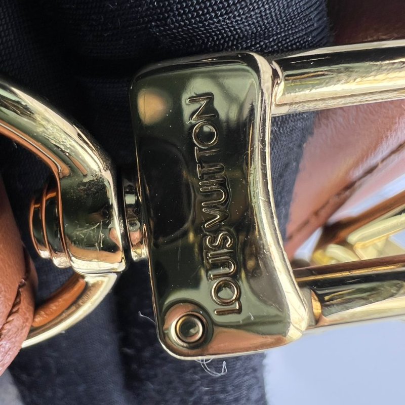 Louis Vuitton Loop Hobo 老花月亮包-22