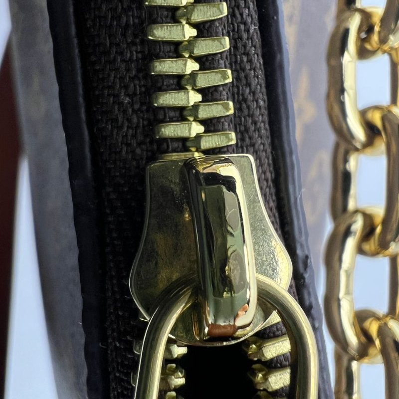 Louis Vuitton Loop Hobo 老花月亮包-26