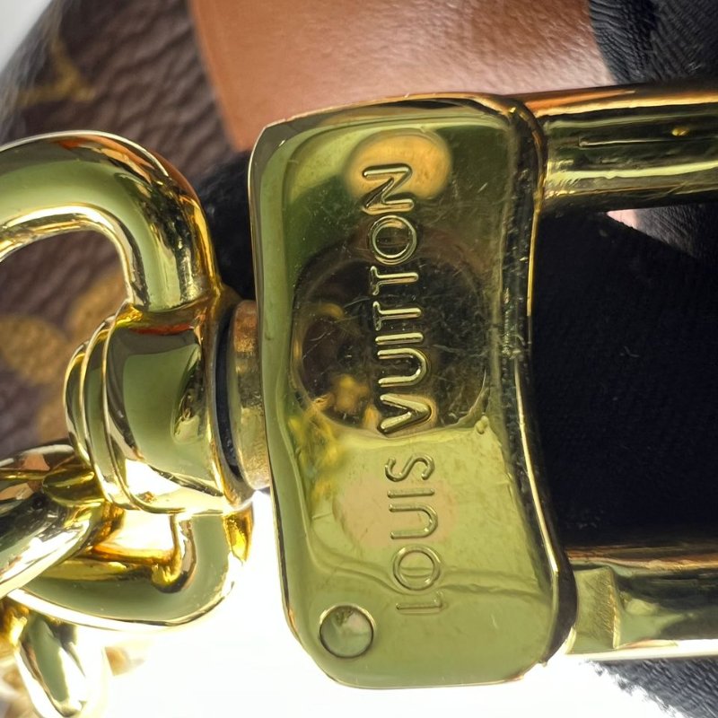 Louis Vuitton Loop Hobo 老花月亮包-30