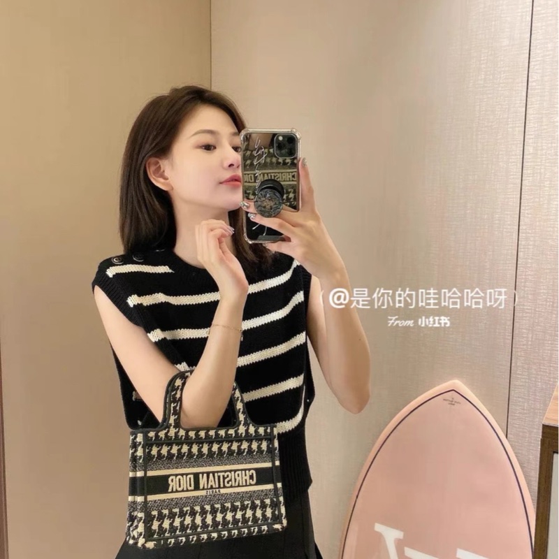 Dior 迪奥 book tote mini-3