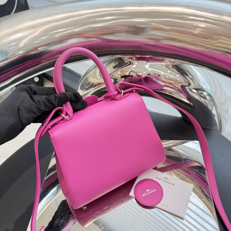 Delvaux 德尔沃mini Brillant-3