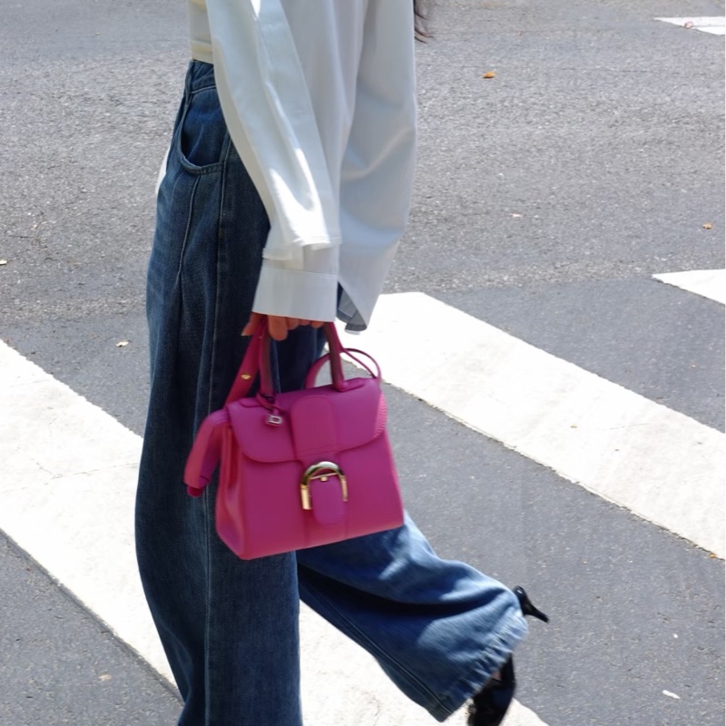 Delvaux 德尔沃mini Brillant-5