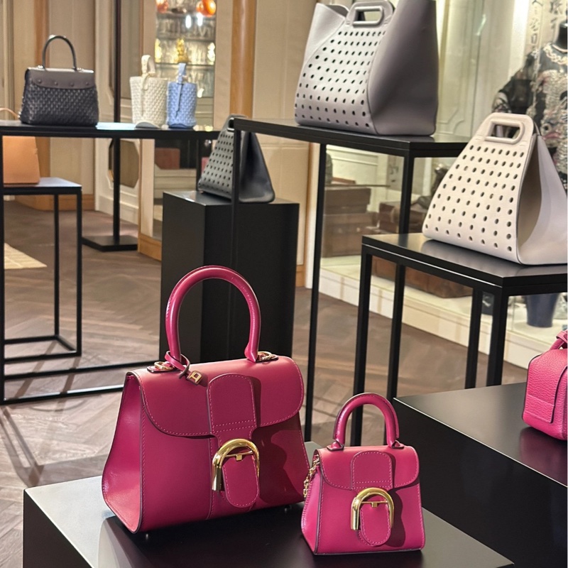 Delvaux 德尔沃mini Brillant-6