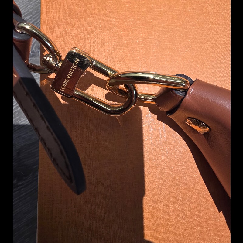 🥰🥰🥰LV大月亮 Loop Hobo包包 M46311🥰🥰🥰超級新 特賣-19