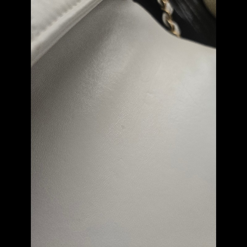 Chanel金幣斜揹包-13