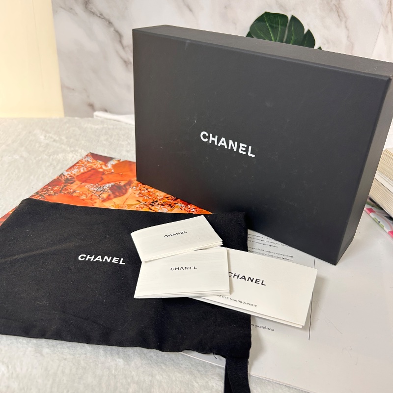 Chanel 19 WOC 絎縫皮鏈條 晶片款 斜背包-34