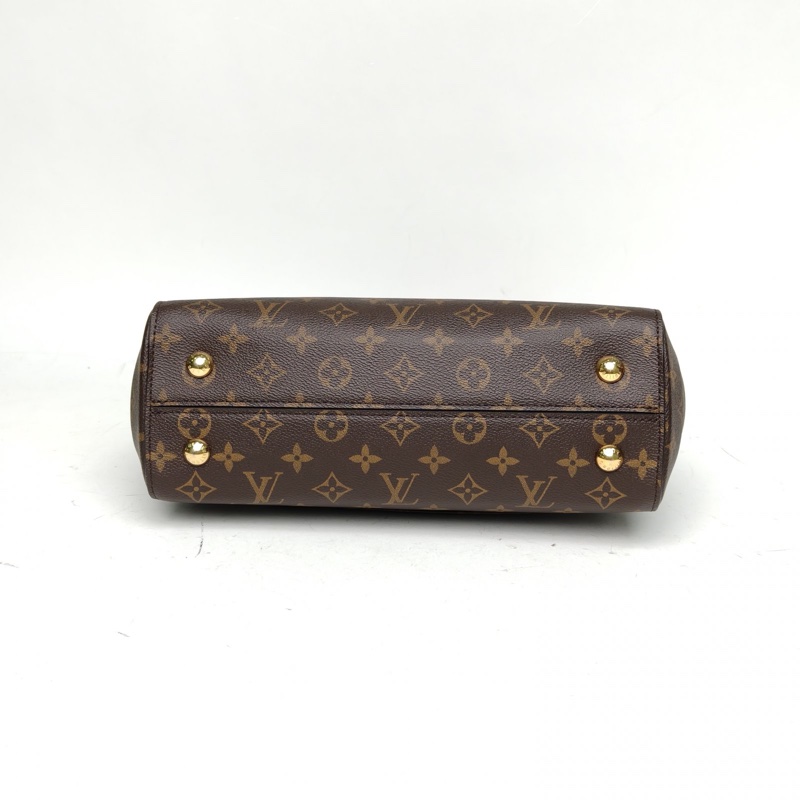 LOUIS VUITTON Cluny中號32老花PVC金扣2017-3