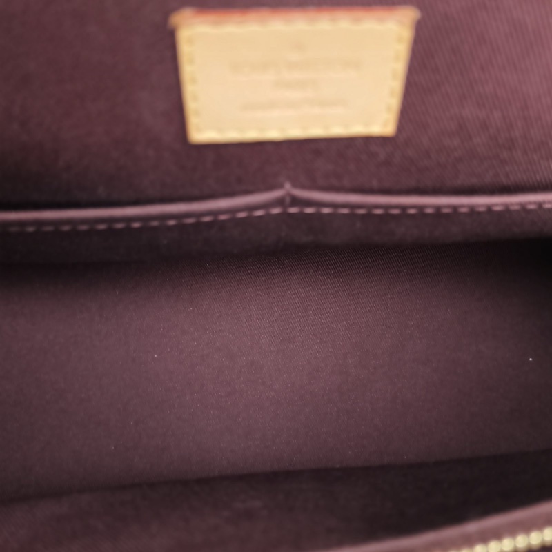 LOUIS VUITTON Cluny中號32老花PVC金扣2017-4