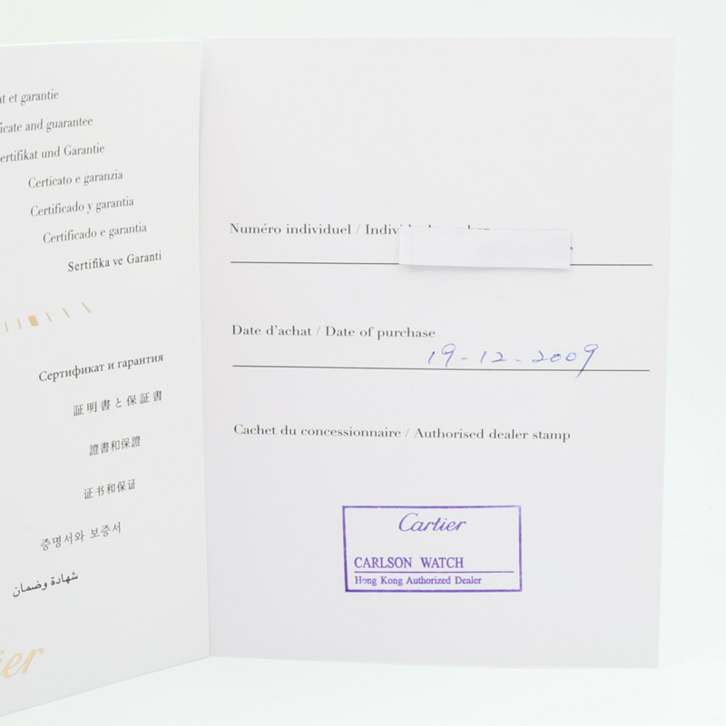 CARTIER Santos Galbee XL W20098D6-17