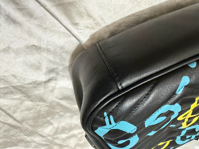 GUCCI 小牛皮相機包-21