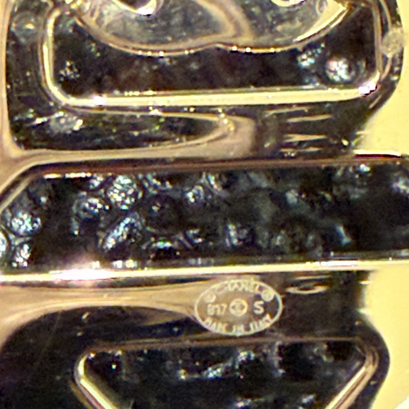 香奈兒胸針~超美-4