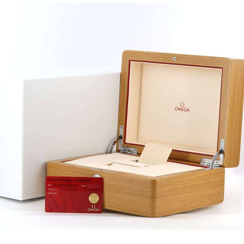 歐米茄海馬系列Aqua Terra 231.10.39.60.06.001不鏽鋼石英錶-8