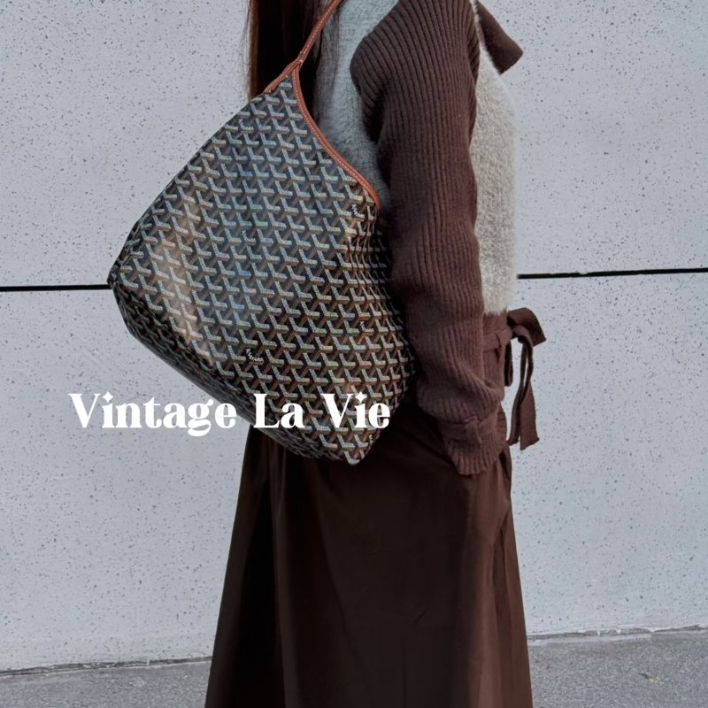 GOYARD Hobo流浪包 - 棕-16