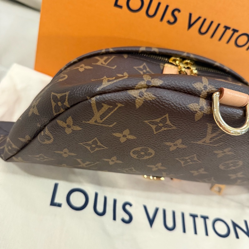 LV Bumbag 停產絕版老花胸腰包 M43644-17