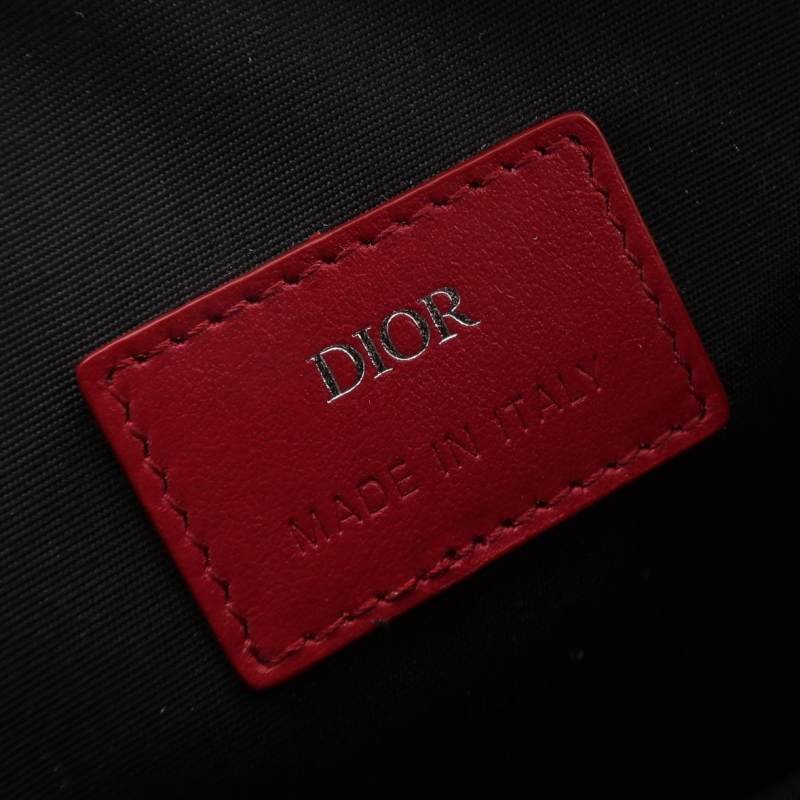 Dior World Tour牛皮Oblique印花斜背包-7