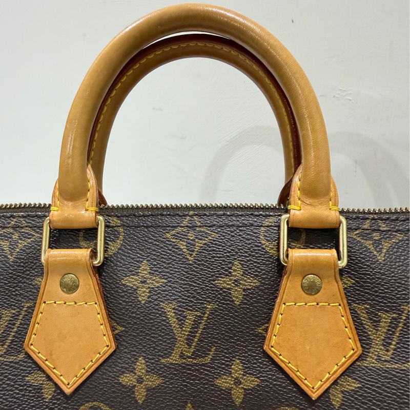 LV Speedy 25 經典老花手提包-12