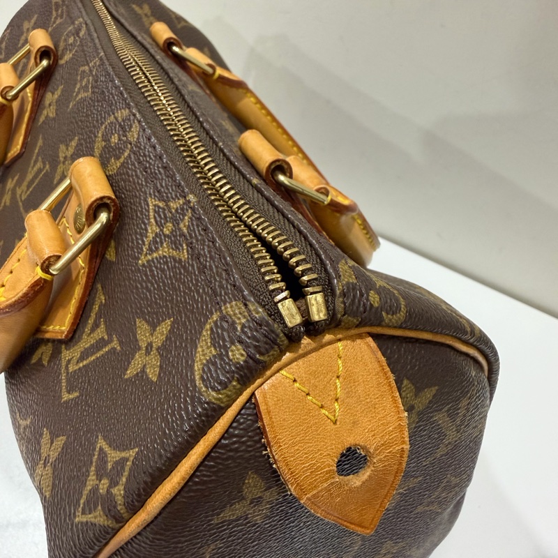 LV Speedy 25 經典老花手提包-15