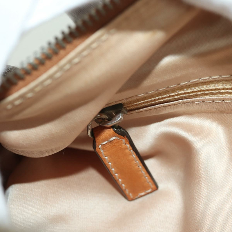 【日本直送】Christian Dior Romantic Trotter帆布手提包 PVC棕色銀色 正品 170563V-23