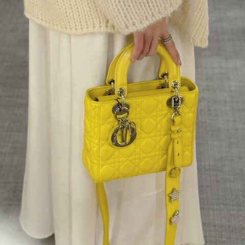 DIOR 四格黛妃包 檸檬黃，肩帶上的限量徽章 20*17*8cm  99新配件肩帶 塵袋