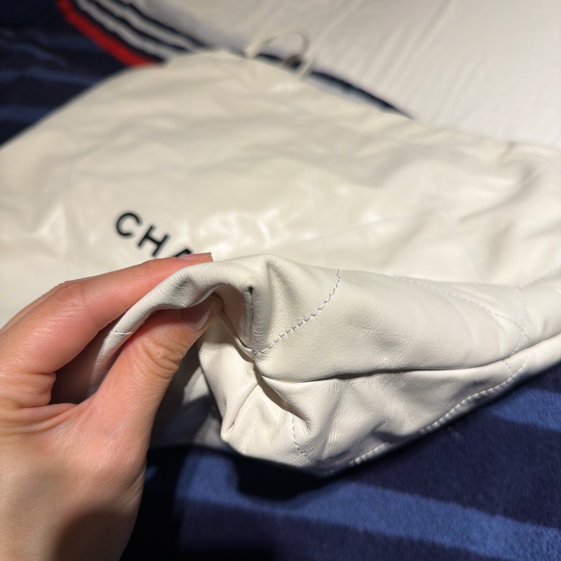 Chanel 22 中型 送labubu-2