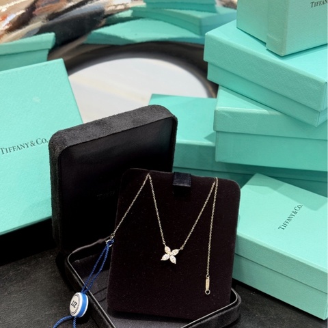 大号Tiffany蒂芙尼项链