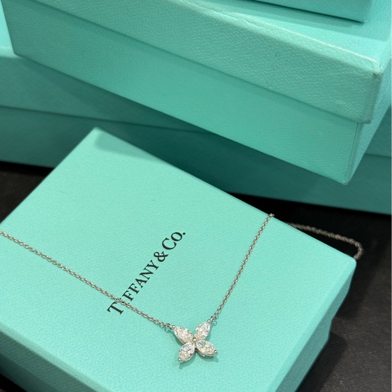 大号Tiffany蒂芙尼项链-1